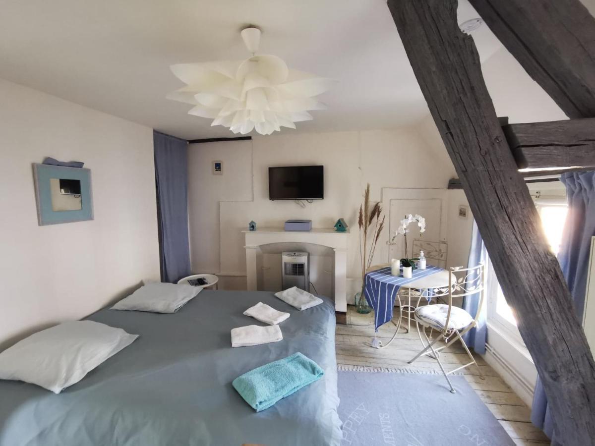Les Cieux De La Cathedrale - Calme - Jardin - Wifi Apartman Troyes Kültér fotó