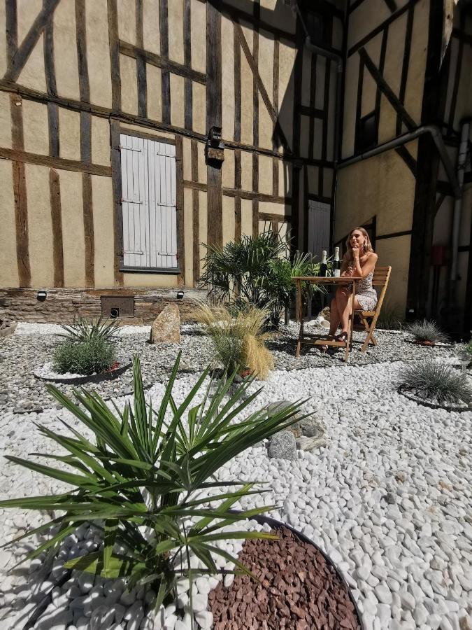 Les Cieux De La Cathedrale - Calme - Jardin - Wifi Apartman Troyes Kültér fotó